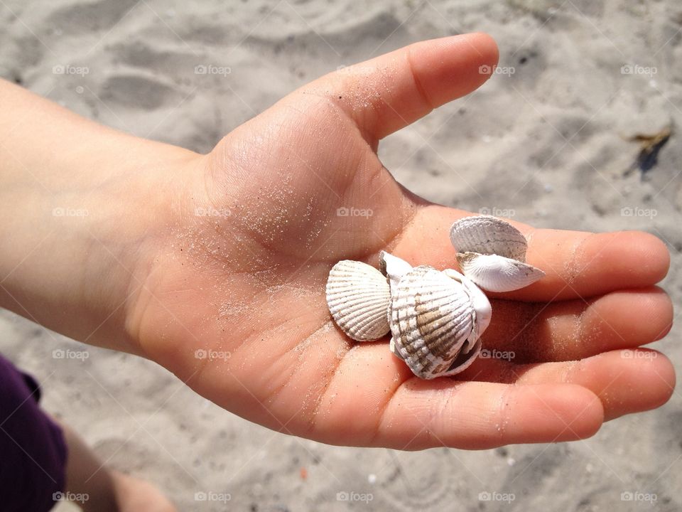 Child with Shells in her hands, playing at the beach.
