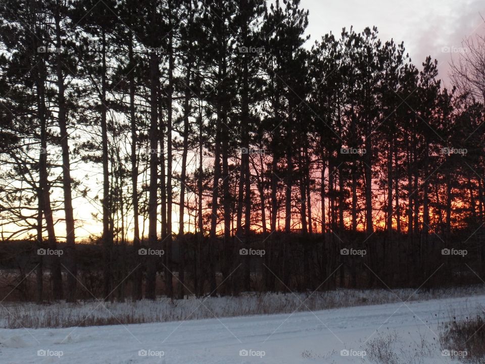 Northern Michigan 