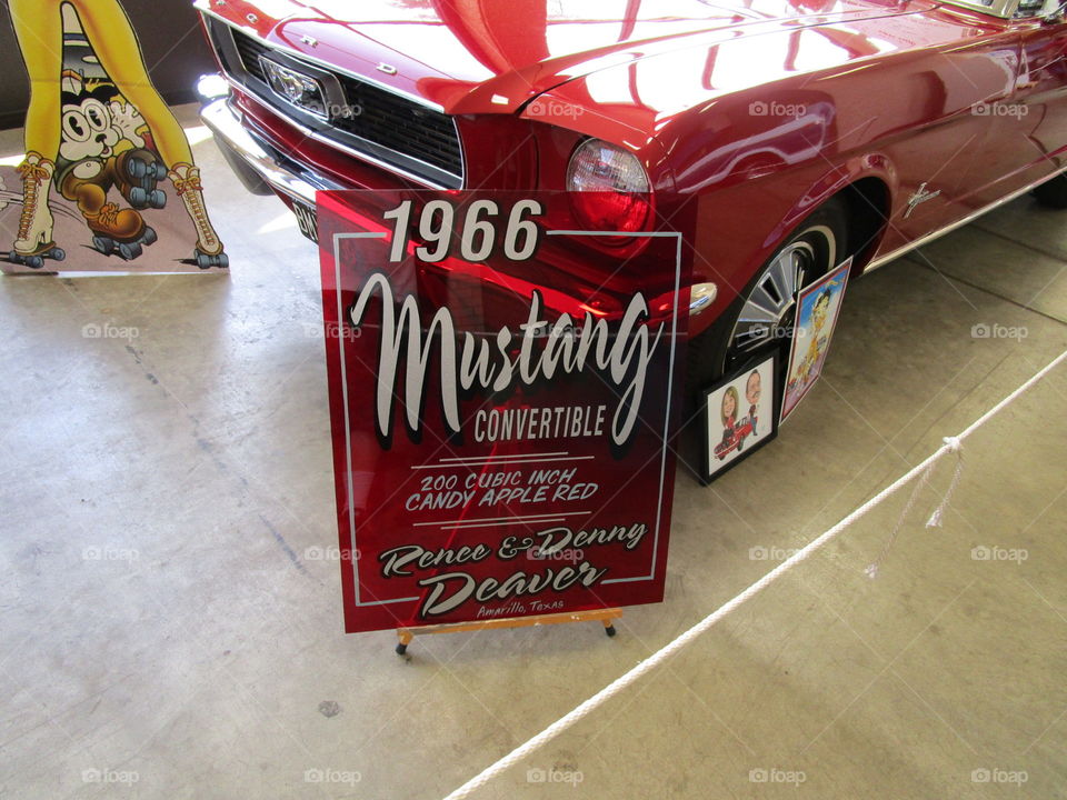 Make a wish foundation car show 2017