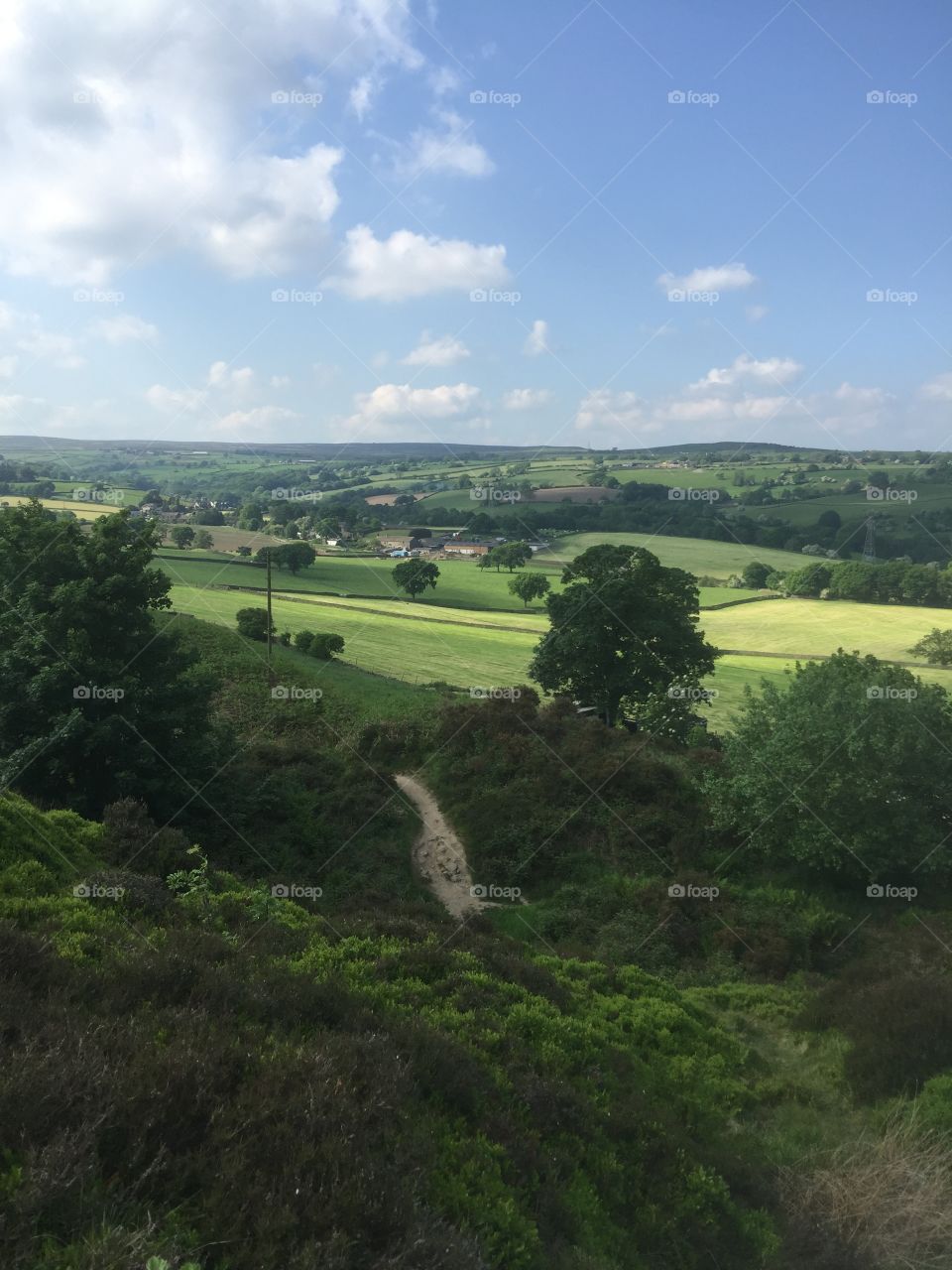 Summer in England