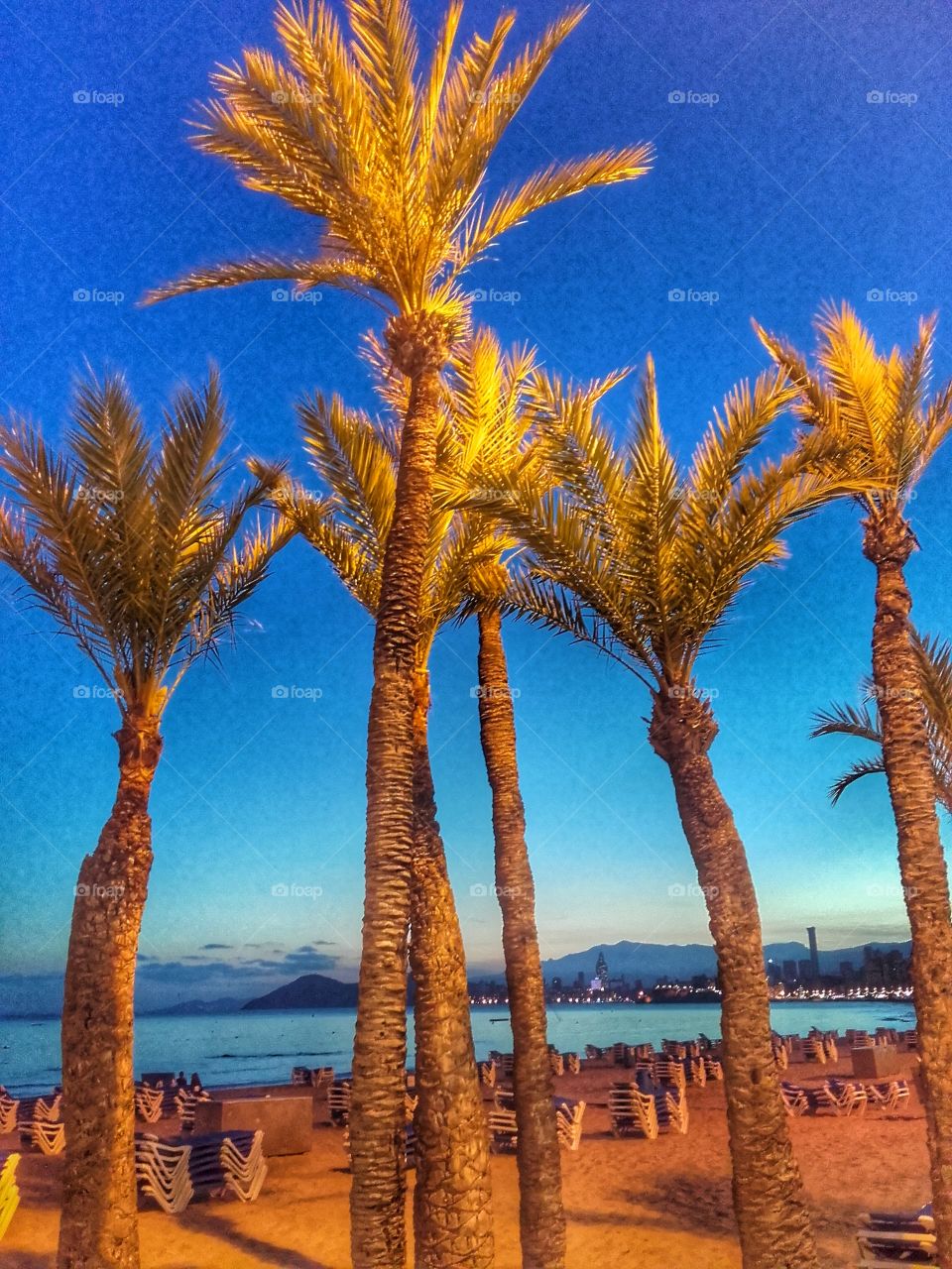 Evening at the beach