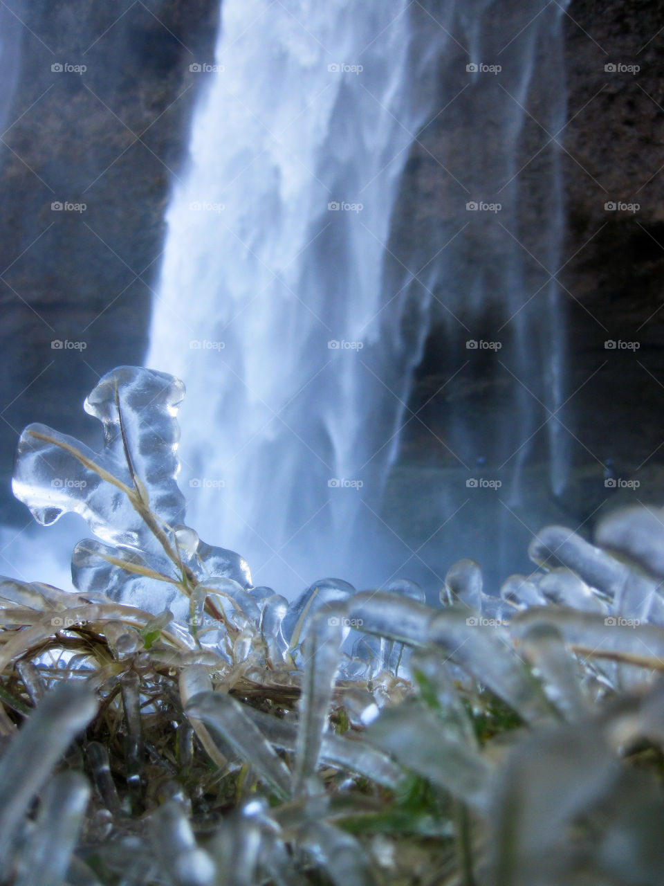 Frozen grass by the waterfall 