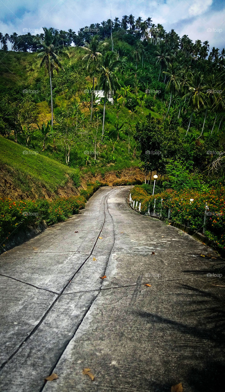 That road