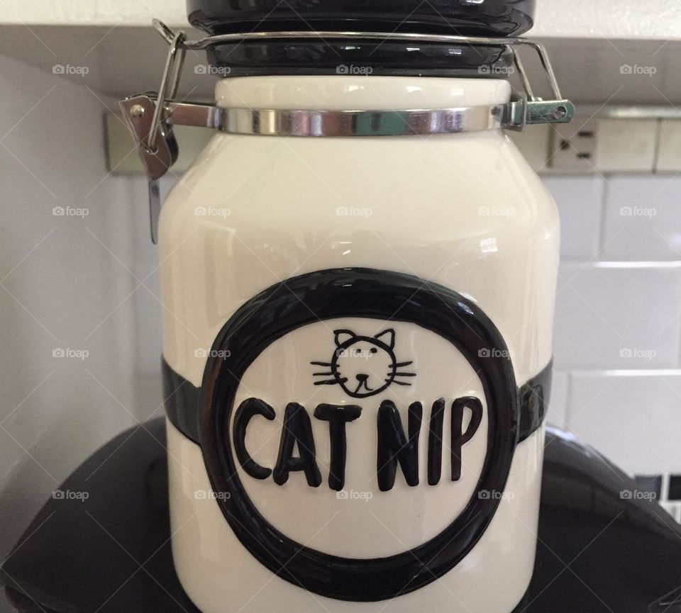 A find at the bargain store I couldn't pass up 