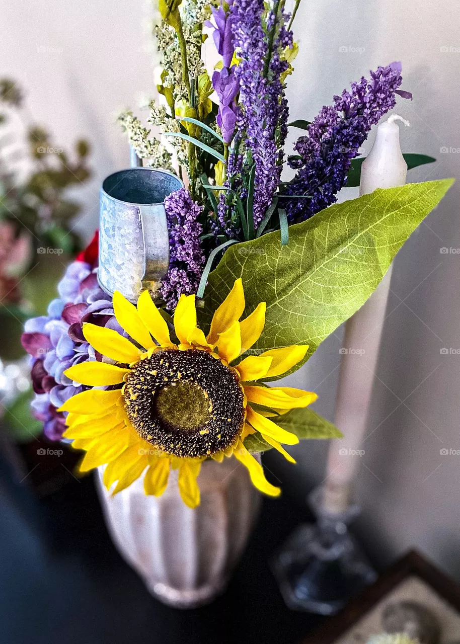 Sunflower plant