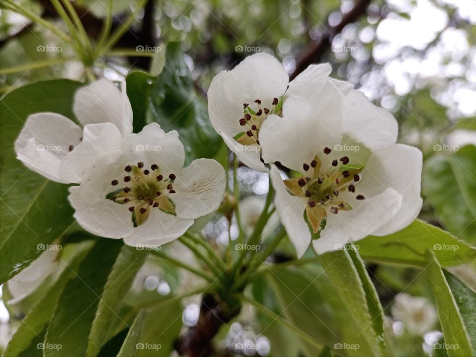 The beauty in nature