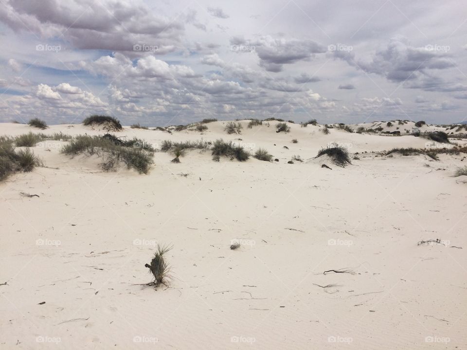 white sands