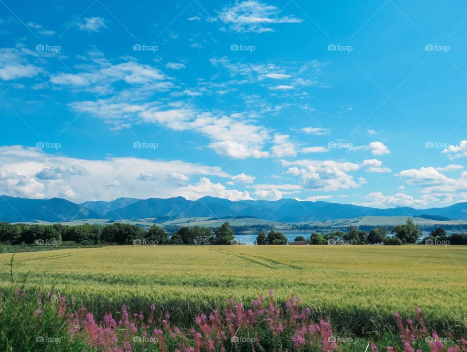 beautiful nature of Slovakia in summer