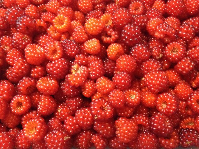 Wineberry Harvest