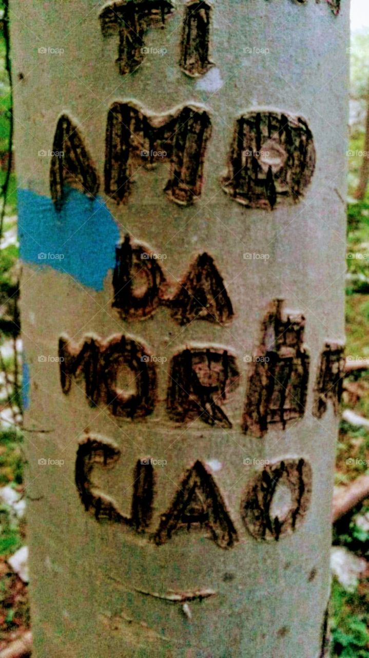 ti amo da morire ciao