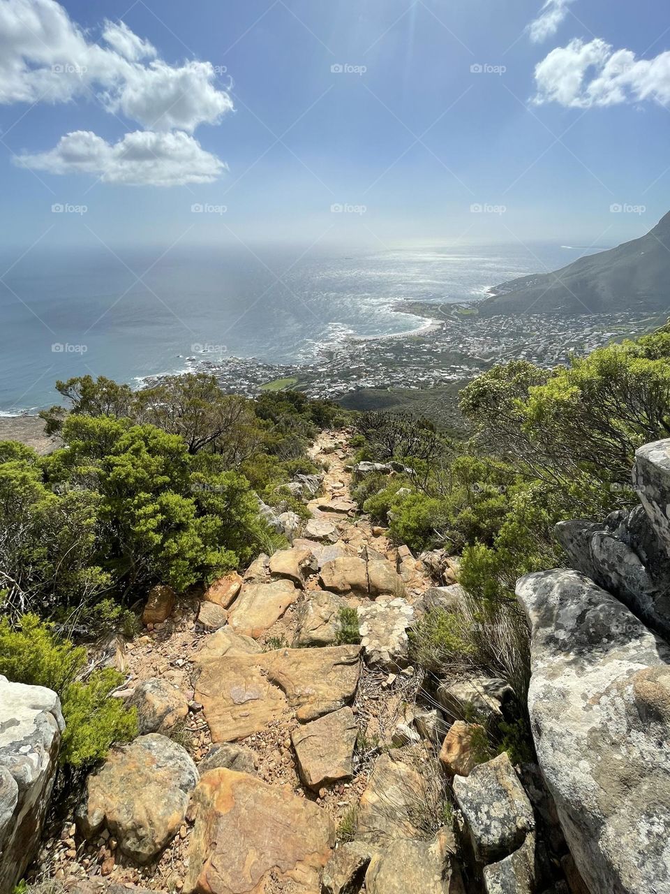 Trail to the top of Table Mountain. 