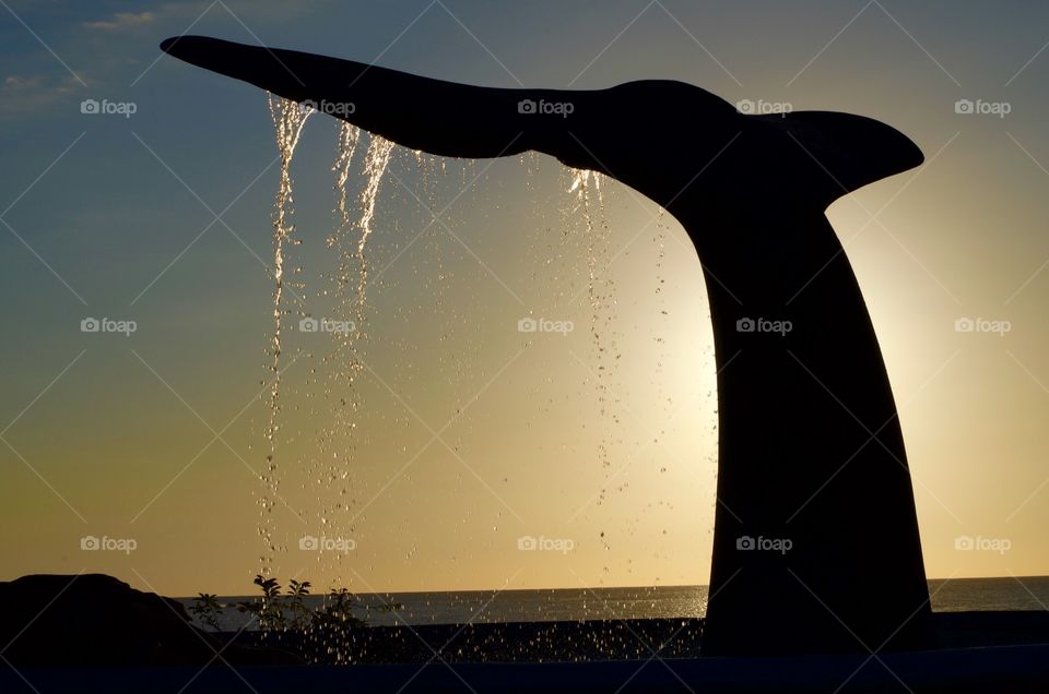 Water dropping from the fish tail