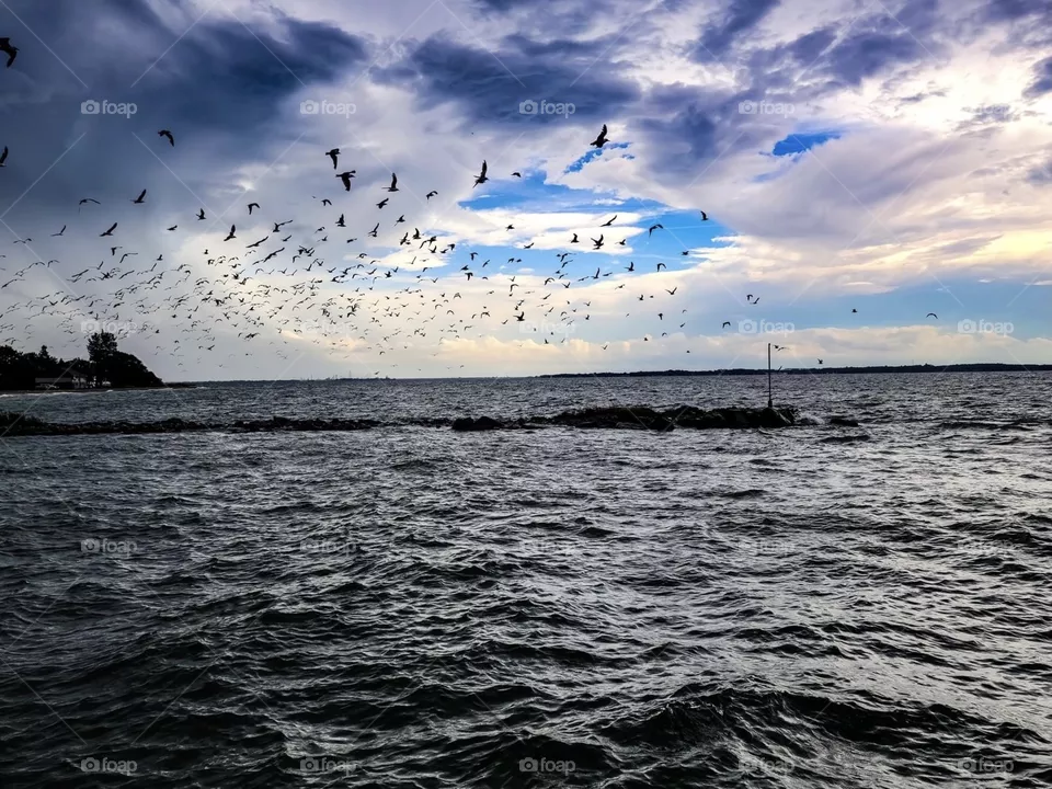 Beautiful sea