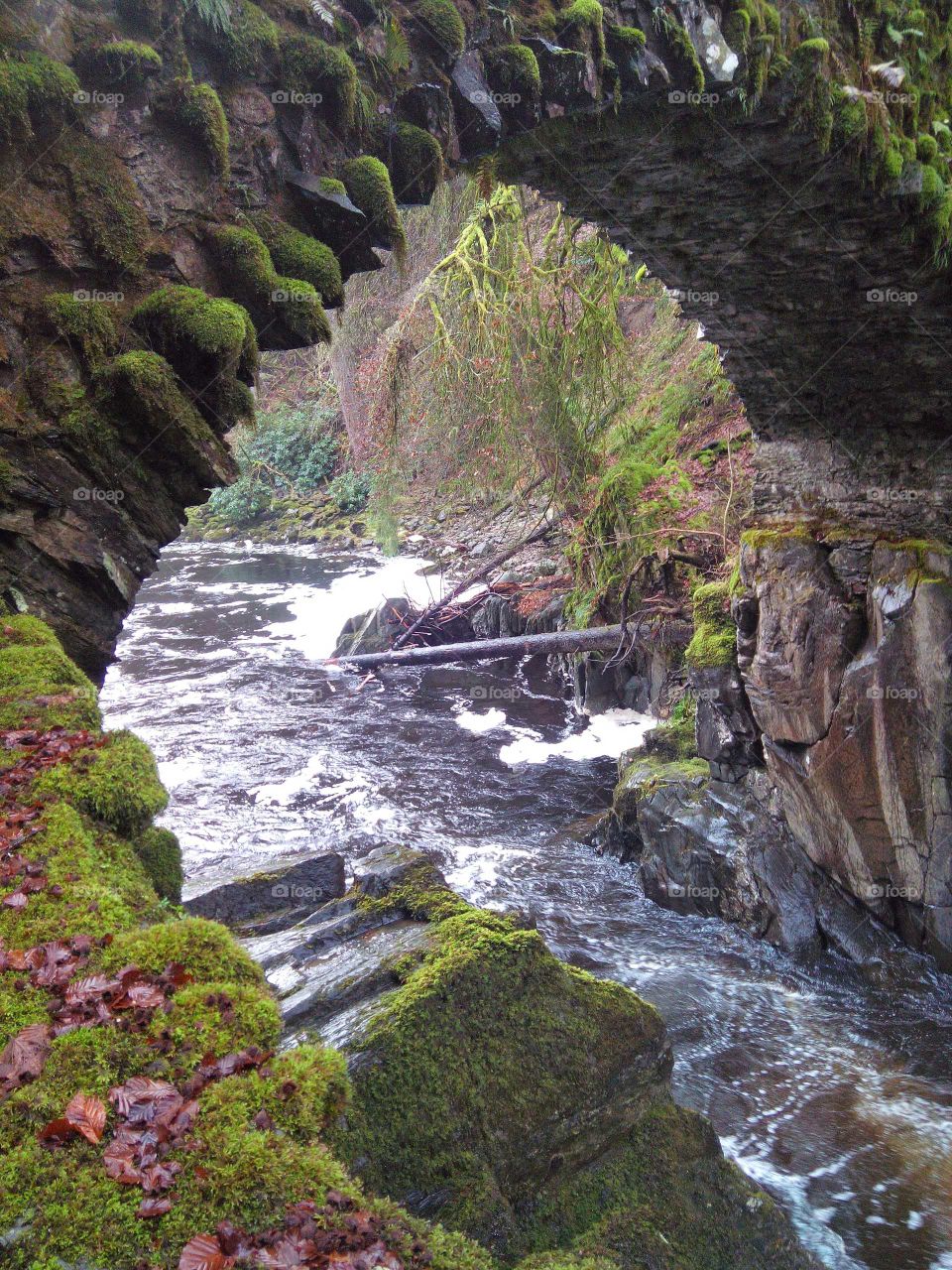 Hiking through the Scottish Highlands