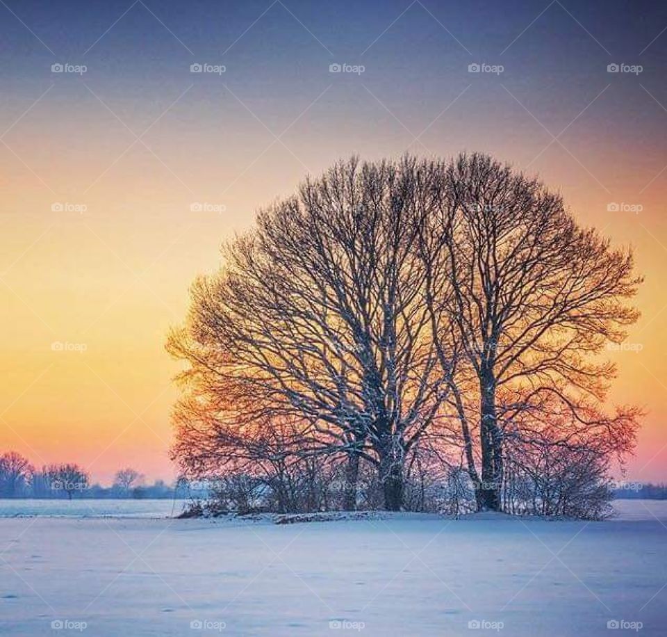 Osijek city from Croatia