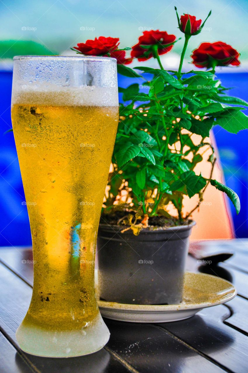 A glass  of light  amber beer