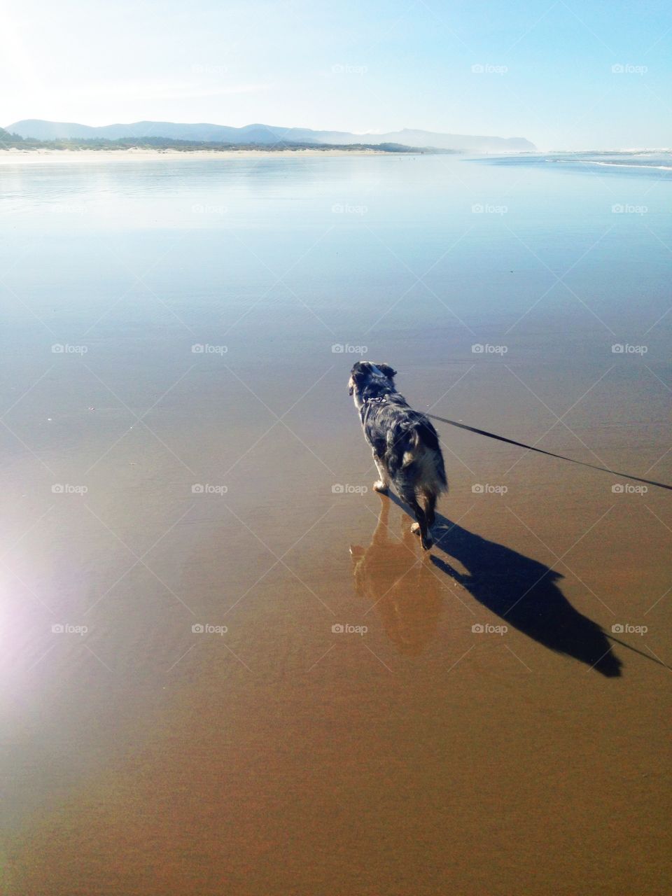 Taking a walk on the Oregon coast. Oregon Coast