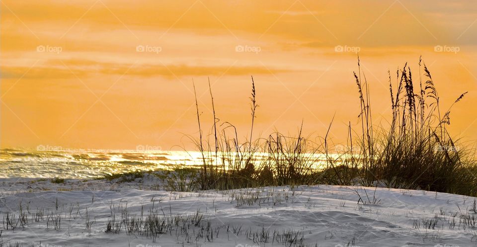 Orange you glad you are at the beach 