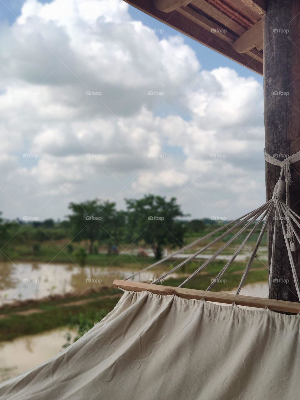 Relaxing hammock looking out to rice fields