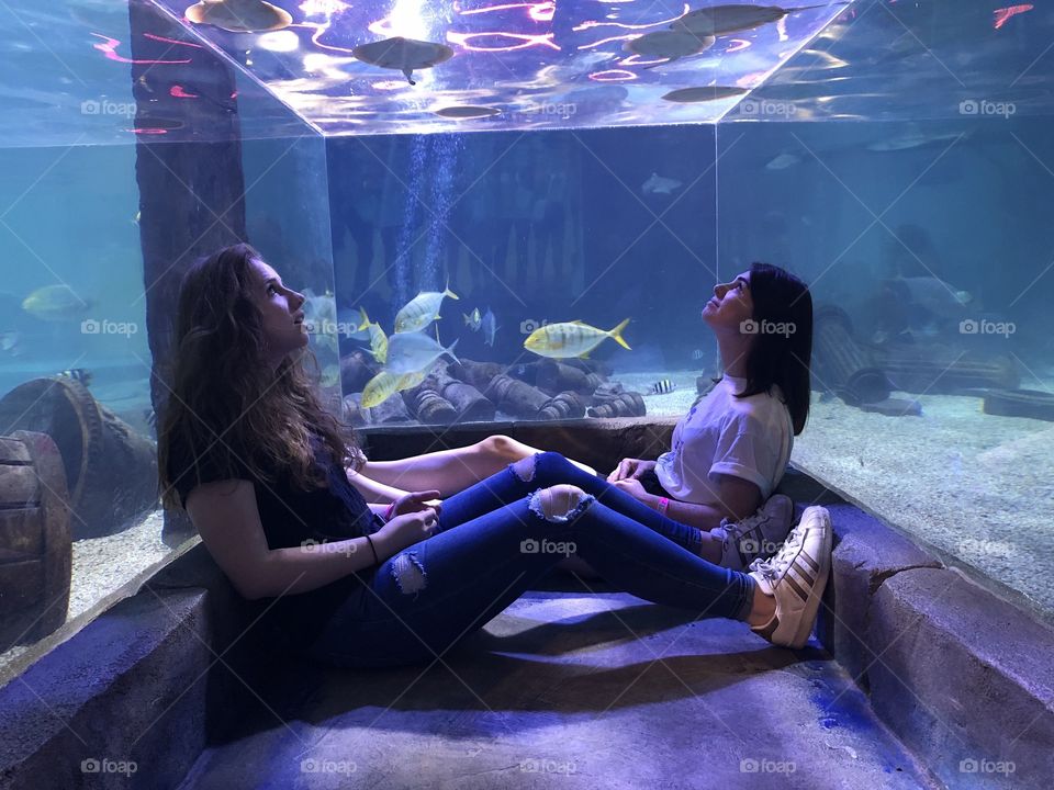 At the aquarium, under the sea