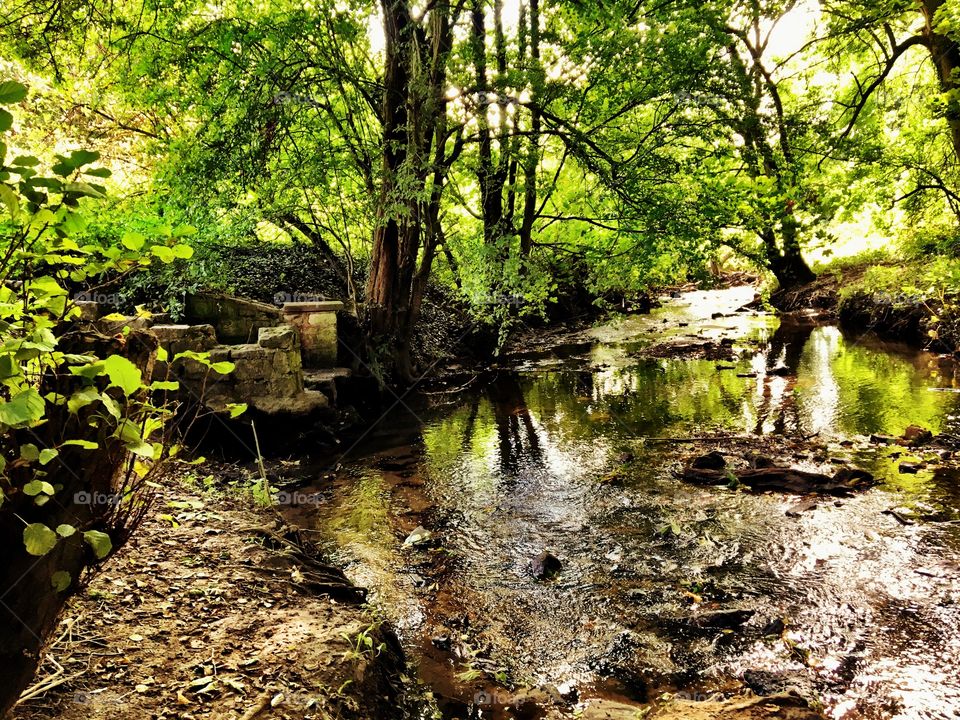 Riverbank with old stone steps in the woods