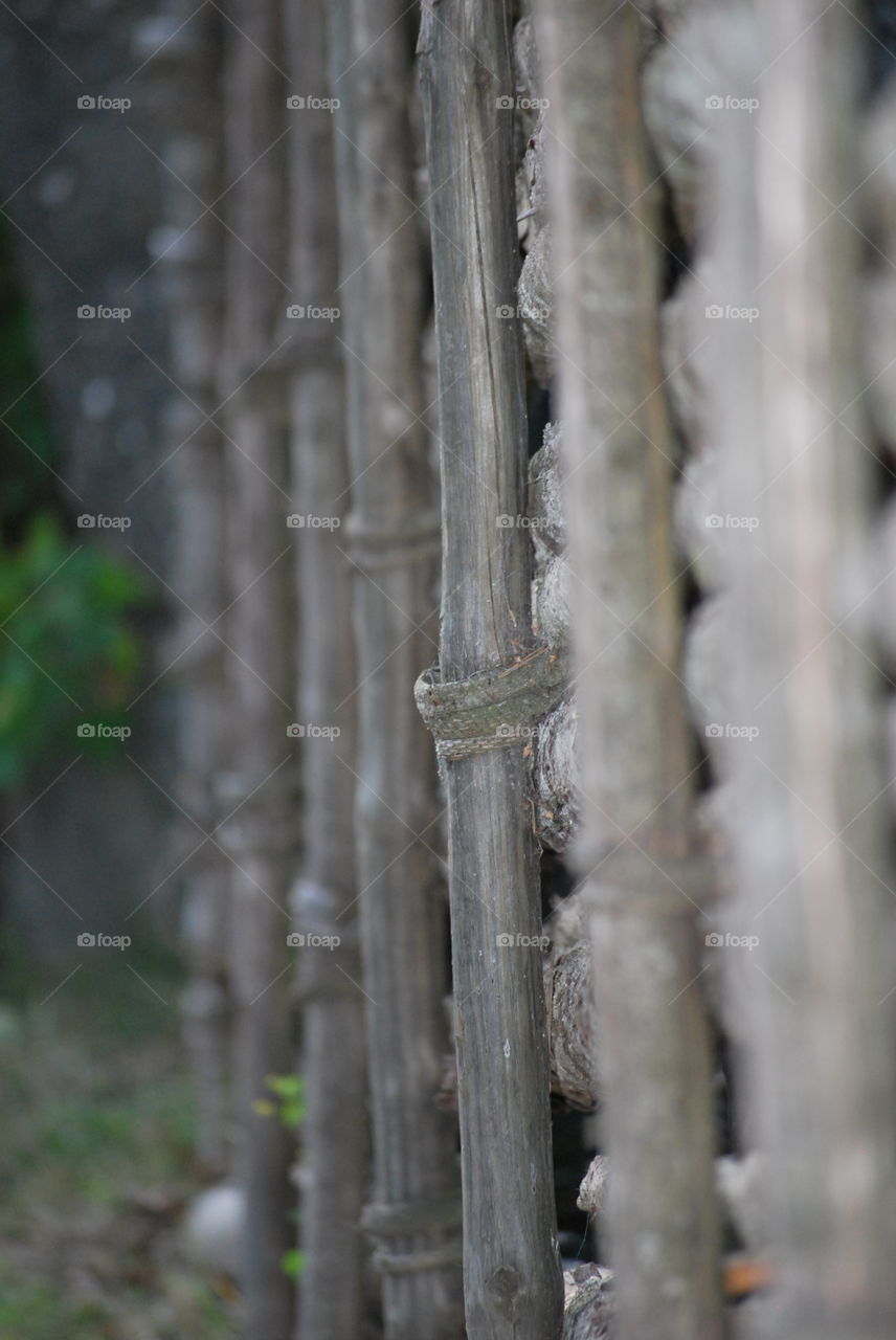 Rural fence 