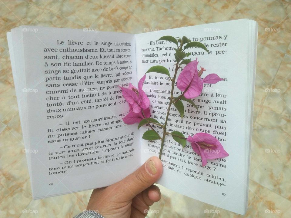 Beautiful flowers into a book.