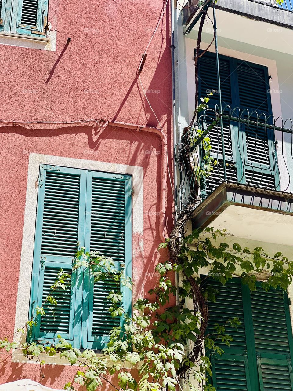 Colorful shutters against multi colored walls with clinging vines