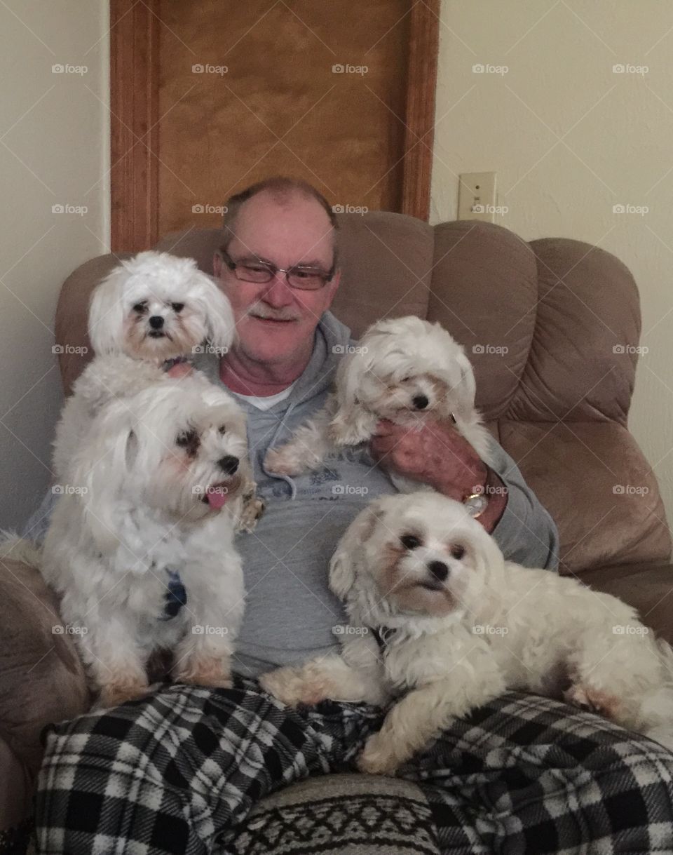 Our Gang, four, very spoiled Maltese with my husband Cliff