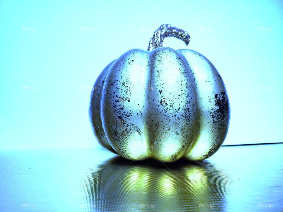 Silver blue pumpkin with a hint of gold among a reflection