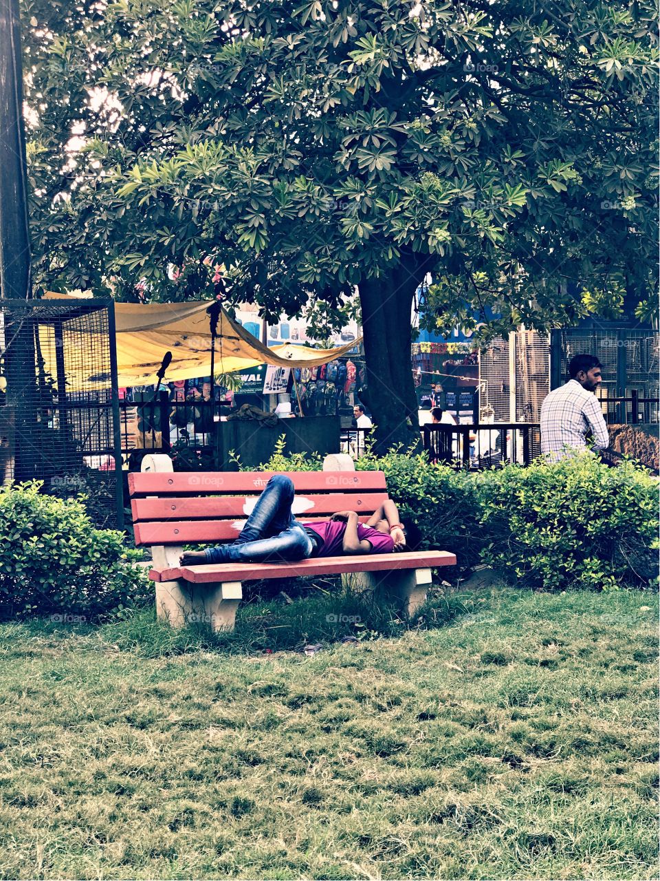 sleeping man in park