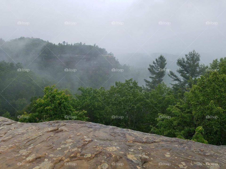 Steam coming off the mountains and red river gorge Kentucky on mother nature’s bridge