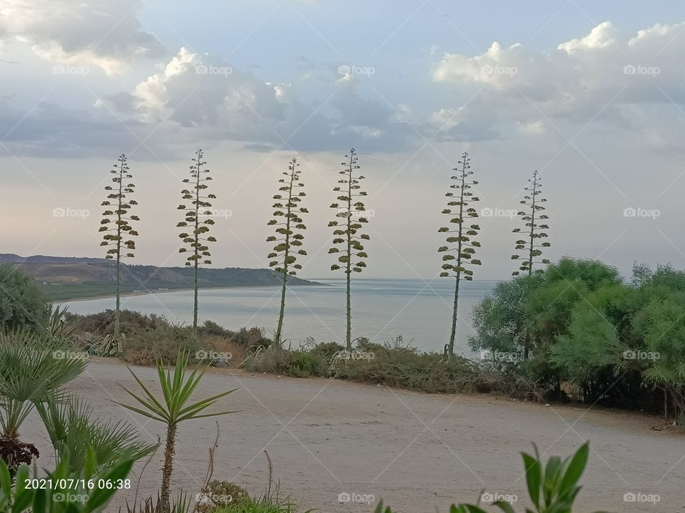 visuale mare da Eraclea Minoa