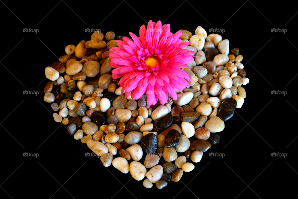 Pebbles heart with flower