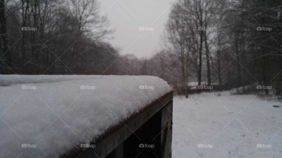 Wood railing covered in snow with bare trees and snow covered ground in the distance.