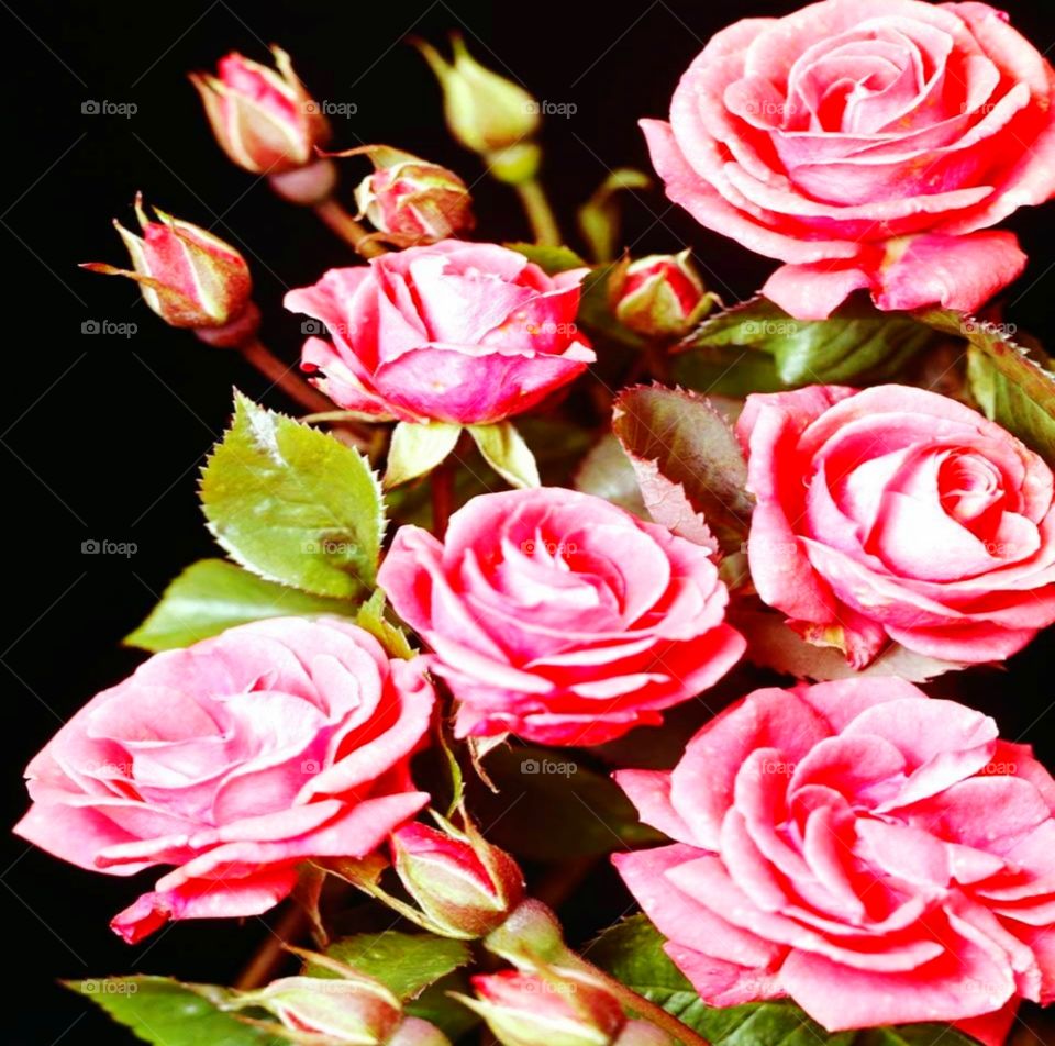 💲💲💲💲💲💲💲💲💲💲💲💲💲💲