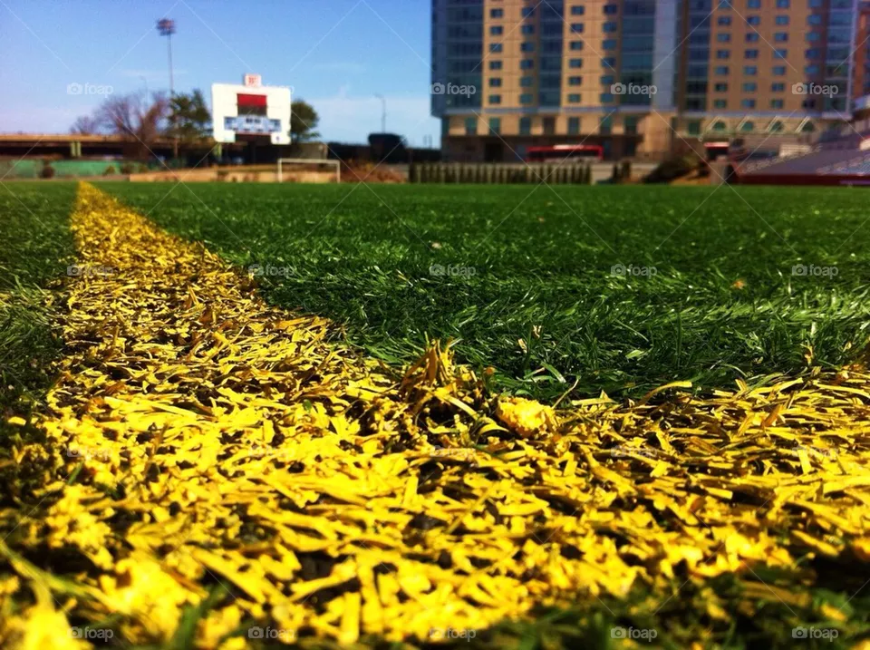 Turf 
