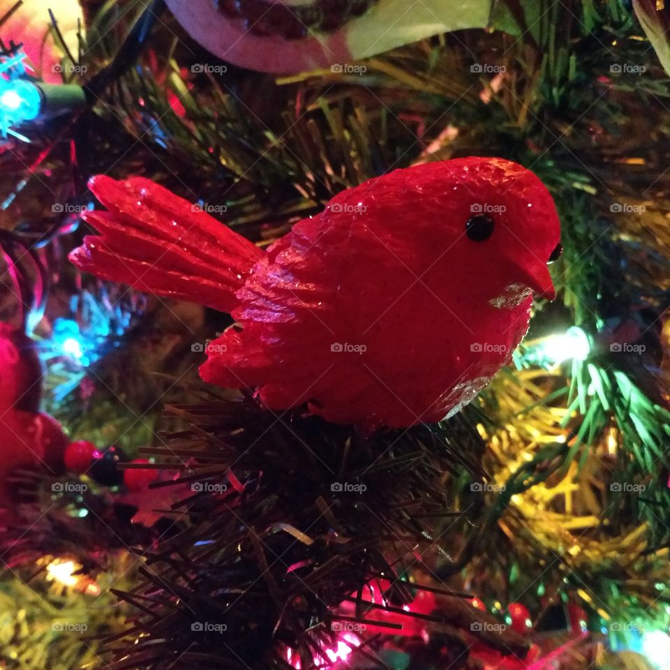 cardinal Ornament