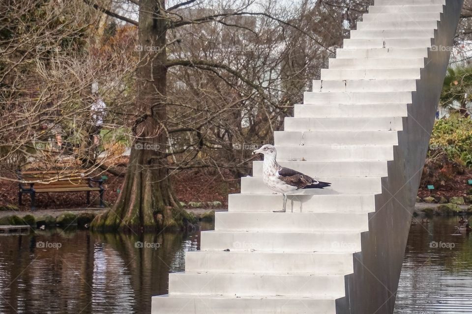 Staircase water sculpture with bird at Christchurch Botanic Gardens, New Zealand 