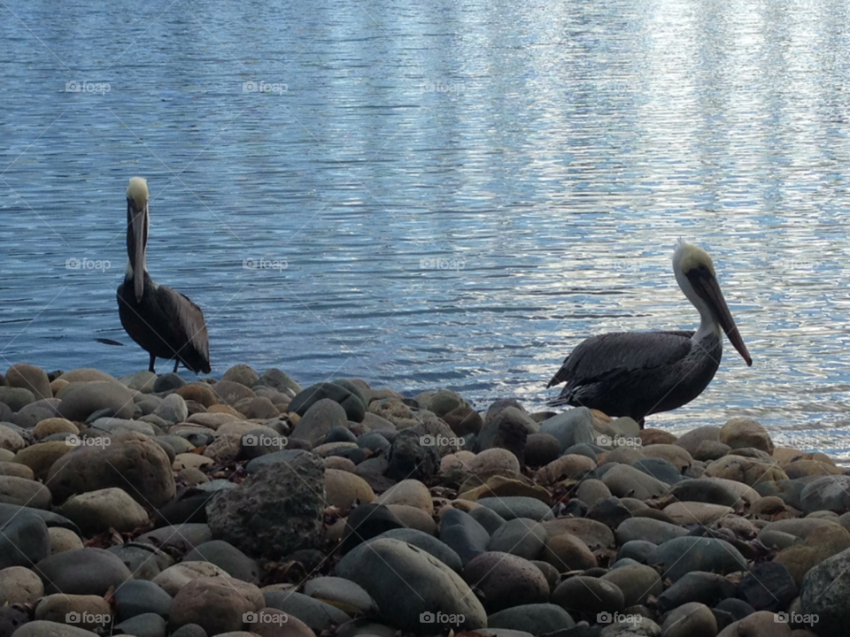 california blue water lake by karenfayeth