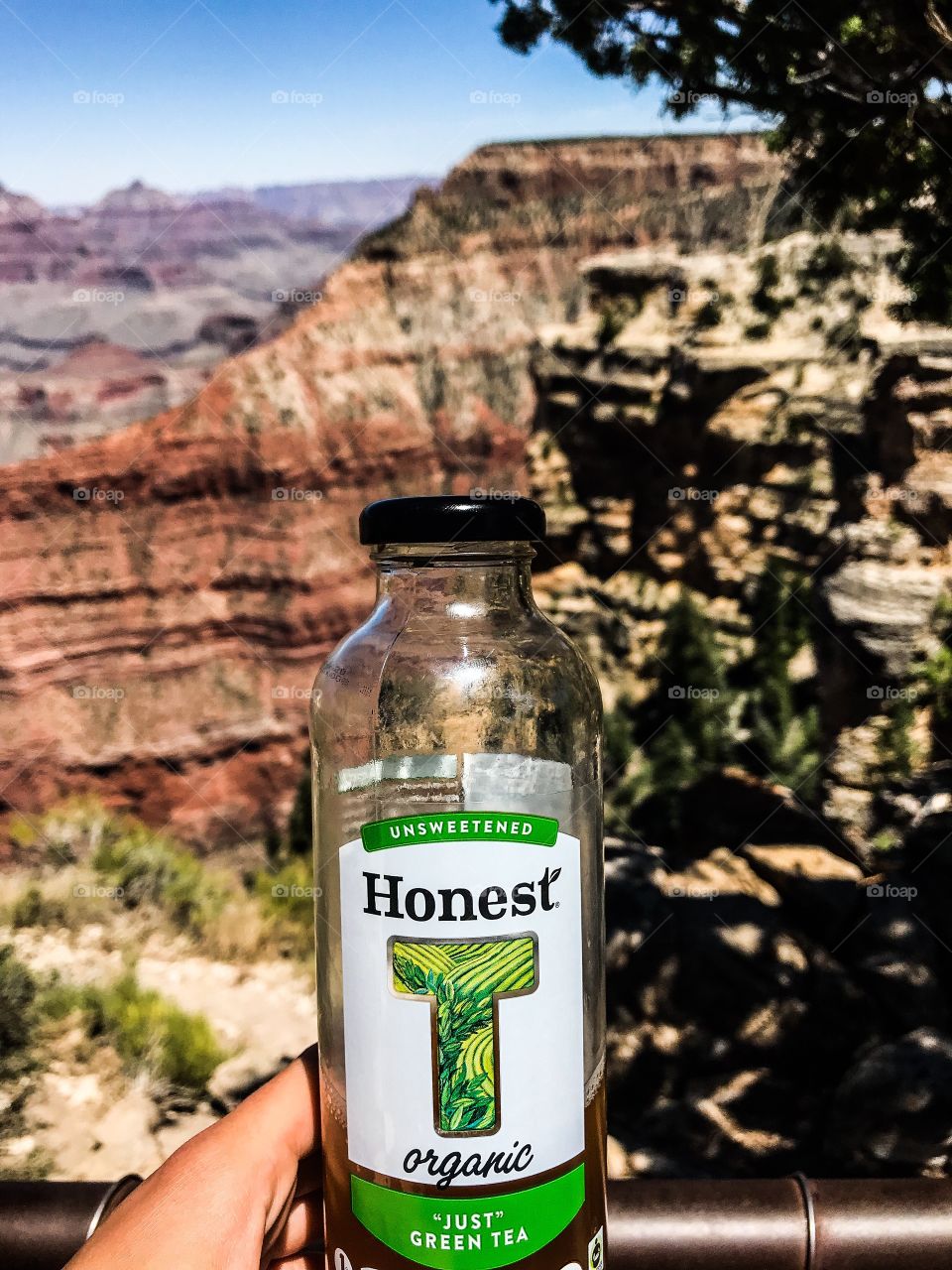 Honest Organic Green Tea in front of Grand Canyon 