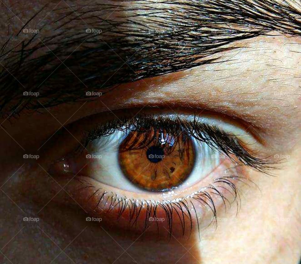 Human eye is the mirror of his soul.