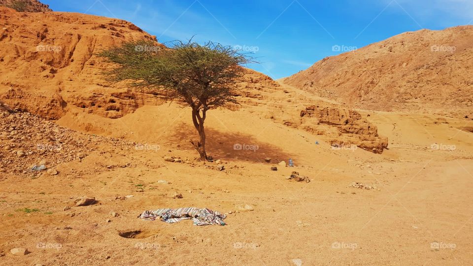 dahab ❤️ Sinai