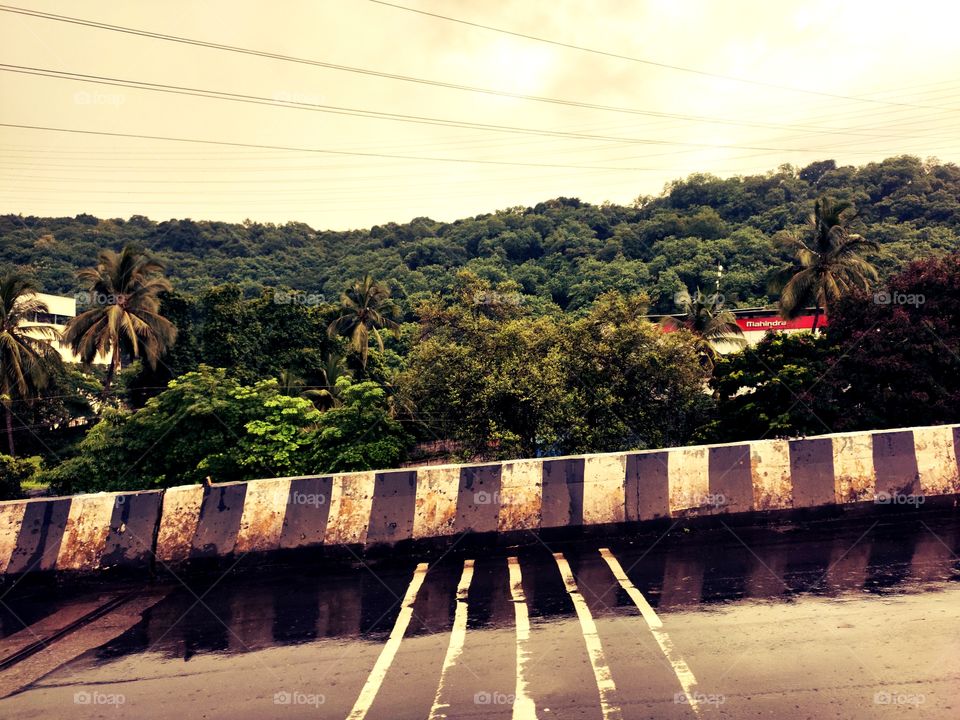 Cityscape Mode 📷
Hill view🌱🌴🍀🌱
Architech of Nature
Highway🛤️🛤️