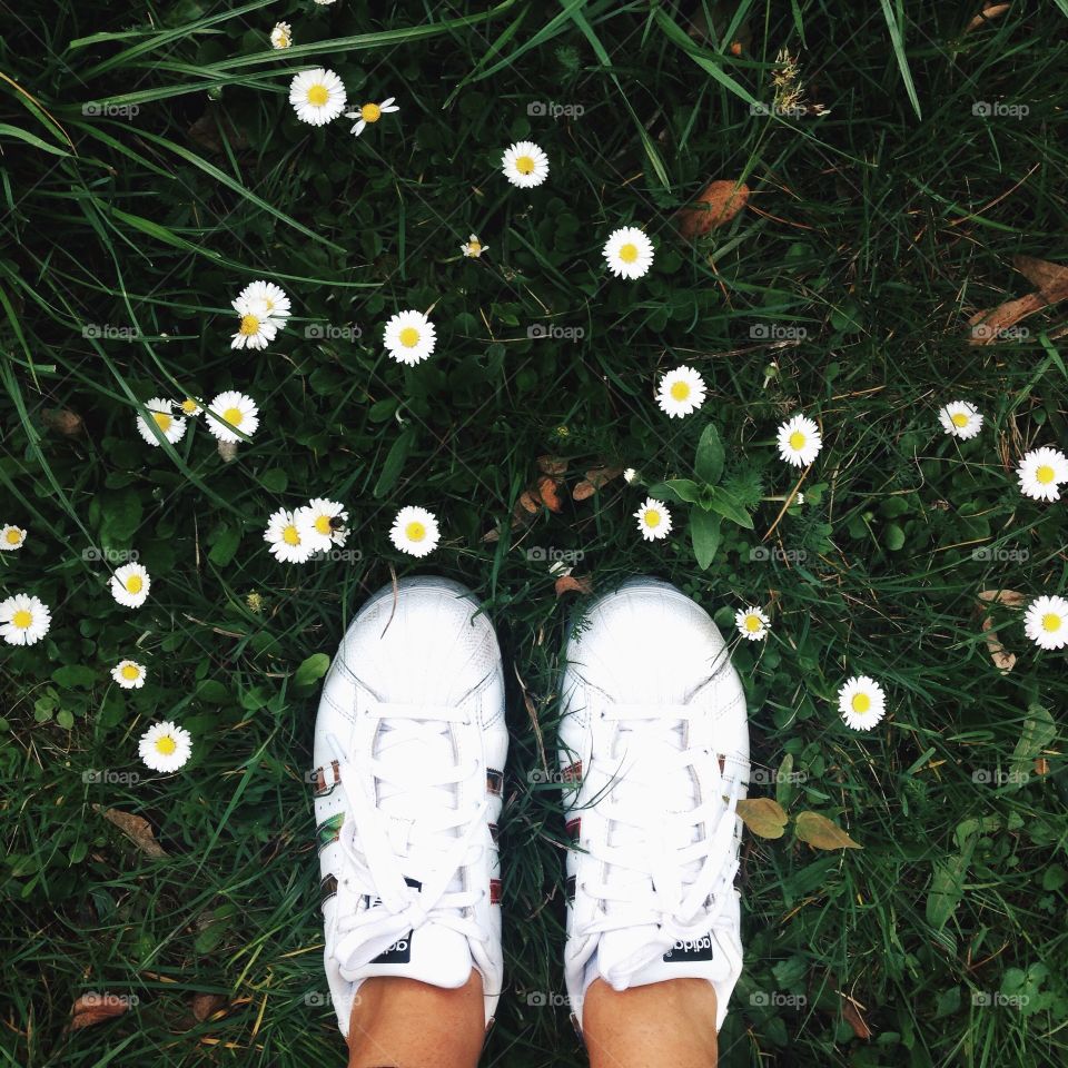 Feet and daisies 