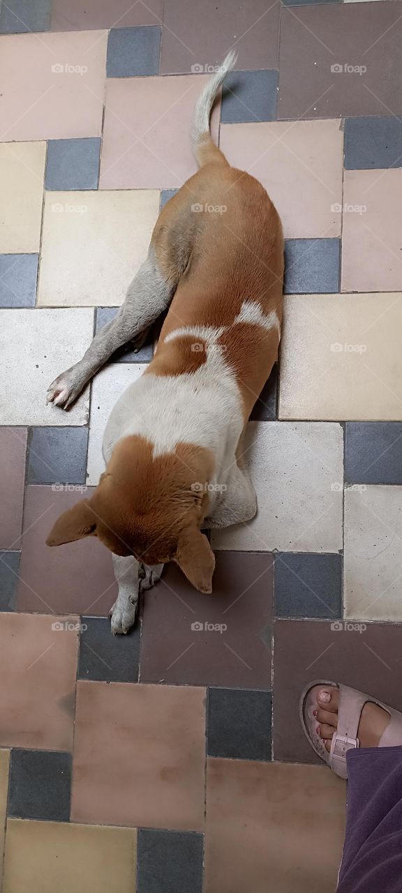 taking rest as I am not feeling better my legs are in pain. will you please excuse me for today.