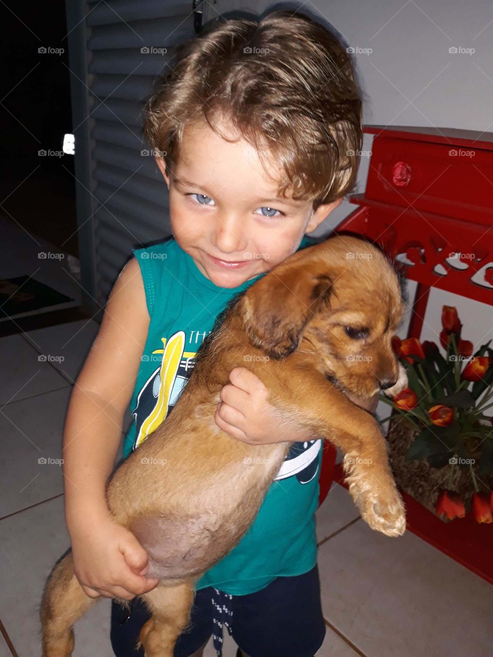 cheerful child playing with the dog