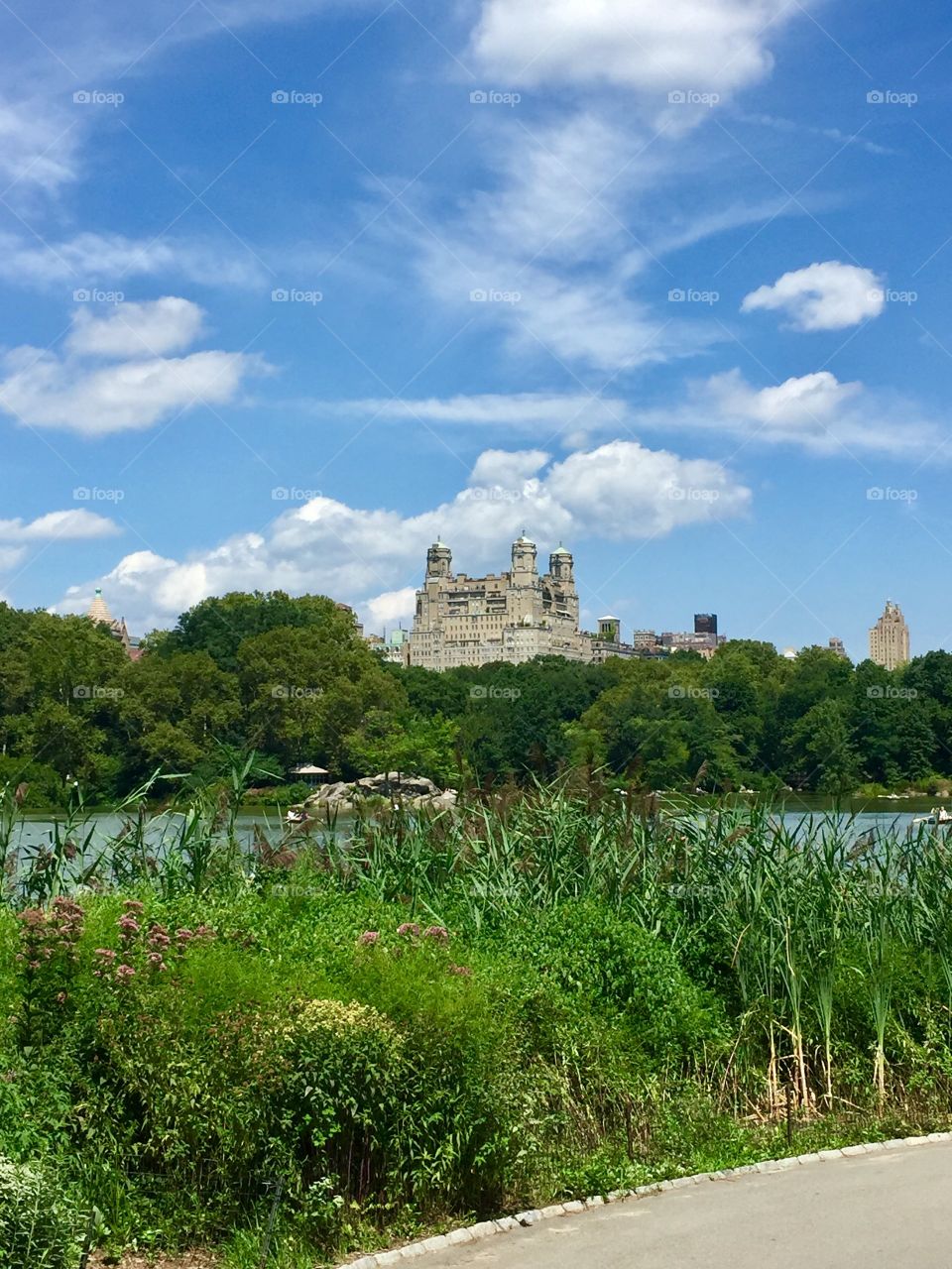 New York, central park