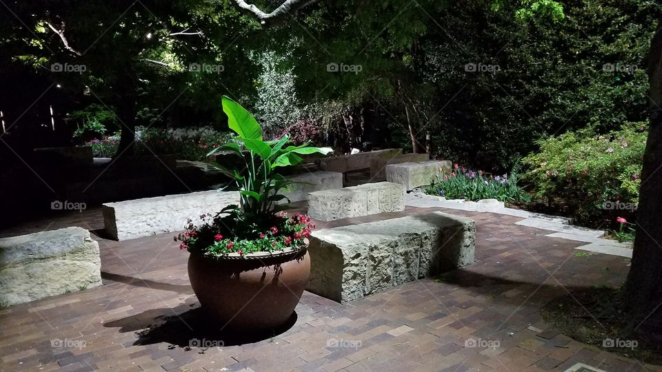 Arboretum landscaping at Night