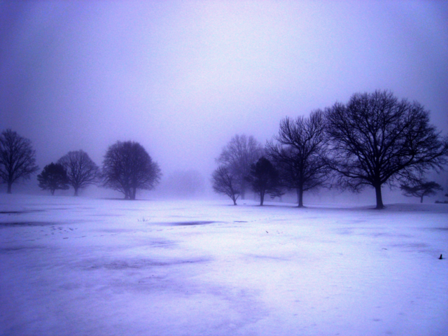 fog